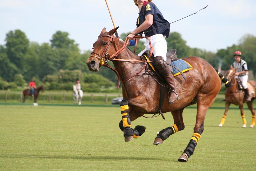 Newport Polo – Experience the Sport of Kings